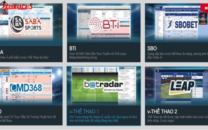 W88 - Website Cá Cược Bóng Đá Uy Tín Số 1 Việt Nam 2 Nhà cái mang đến đa dạng các cược sảnh bóng đá khác nhau